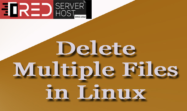 How to Delete Multiple Files in Linux?