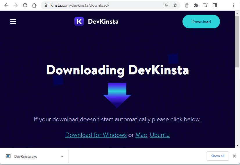 DevKinsta's downloading page screenshot.